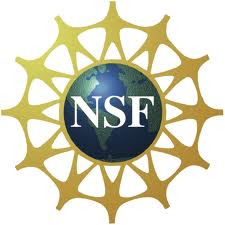NSF